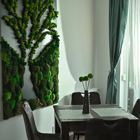 Mirvana Apartments Metheor Executive Suite Timisoara Exterior photo