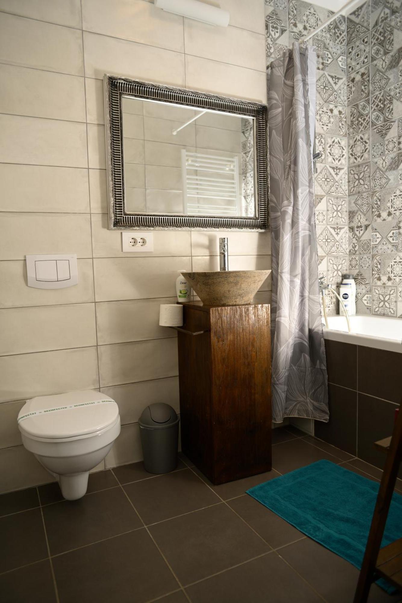 Mirvana Apartments Metheor Executive Suite Timisoara Exterior photo